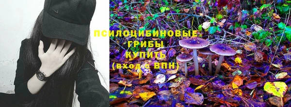 мескалин Алексин