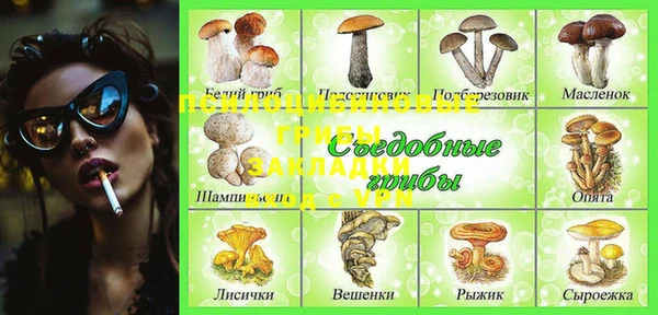МДПВ Алексеевка