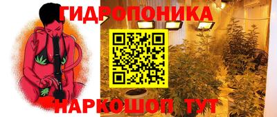 хмурый Сланцы