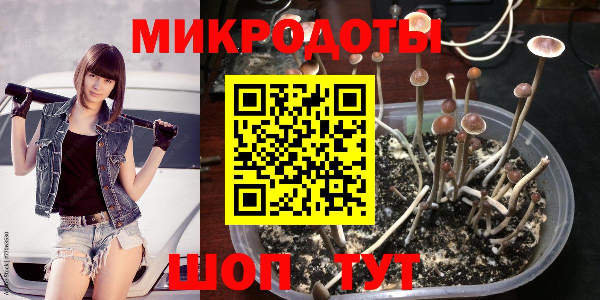 Галлюциногенные грибы Cubensis Сарапул