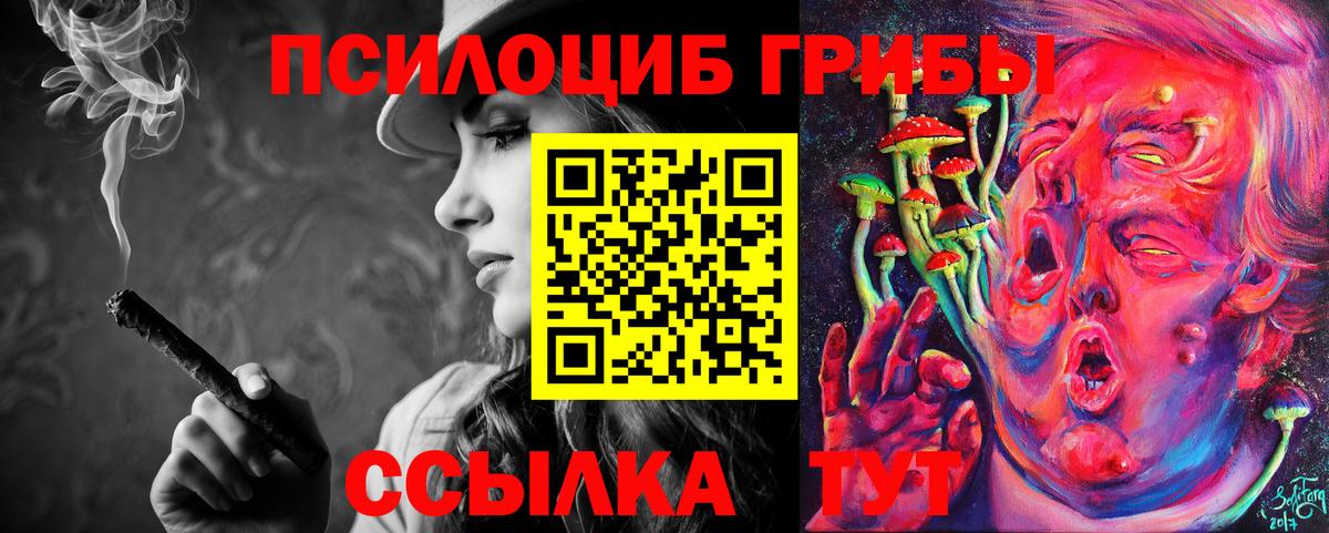 Сарапул  Псилоцибиновые грибы прущие грибы  Псилоцибиновые грибы Psilocybine cubensis  Вход с VPN 